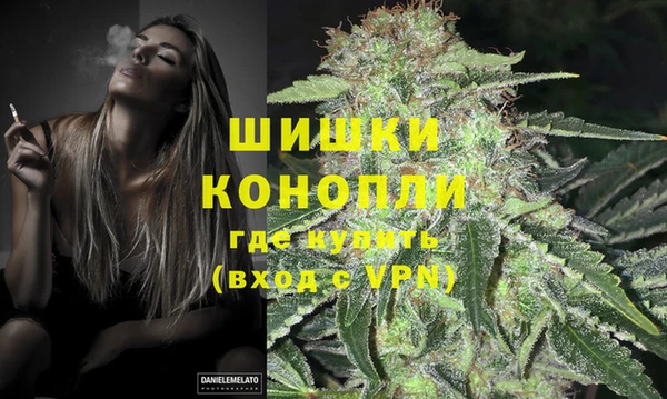 spice Богданович