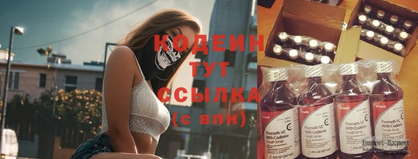 spice Богданович