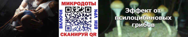 ОМГ ОМГ ТОР  Шарыпово  Галлюциногенные грибы GOLDEN TEACHER 